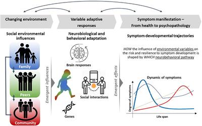 the biological model views psychological disorders as resulting from